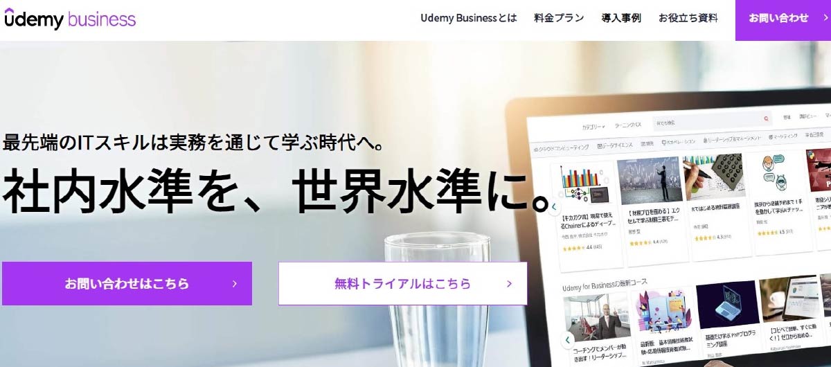 Udemy Business